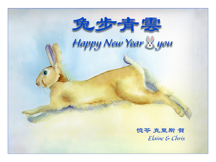 year of rabbit